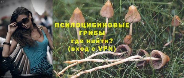 сатива Зерноград