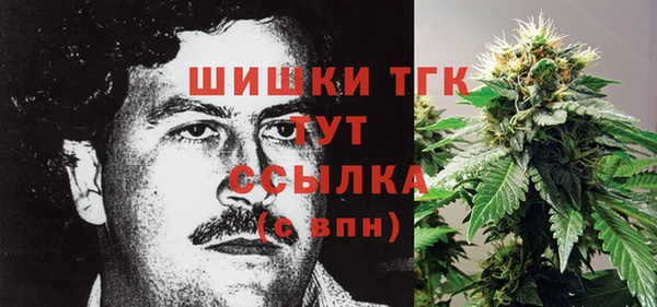 крисы Зеленокумск
