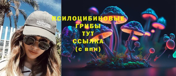 крисы Зеленокумск