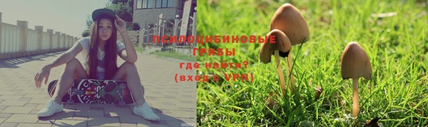 a pvp Заводоуковск